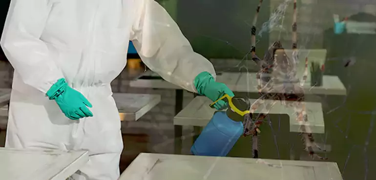 Why Buyers Still Want Homes With Pest Infestations in Scottsdale, AZ?