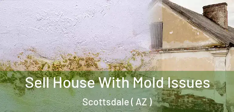  Sell House With Mold Issues Scottsdale ( AZ )